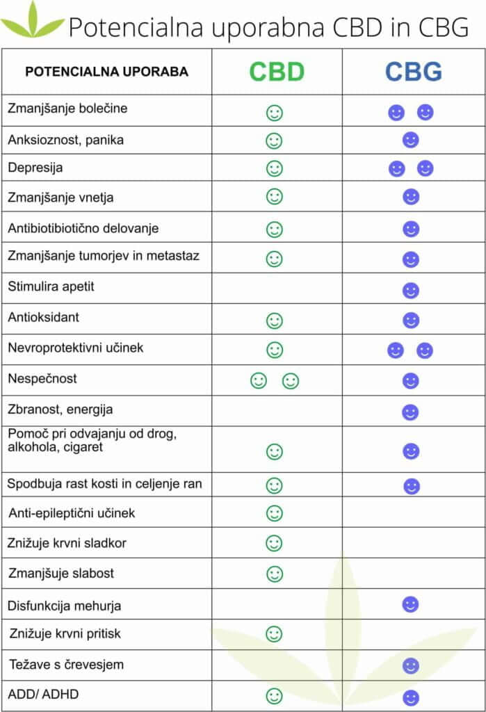 Konopljina smola - vse od A do Ž 6