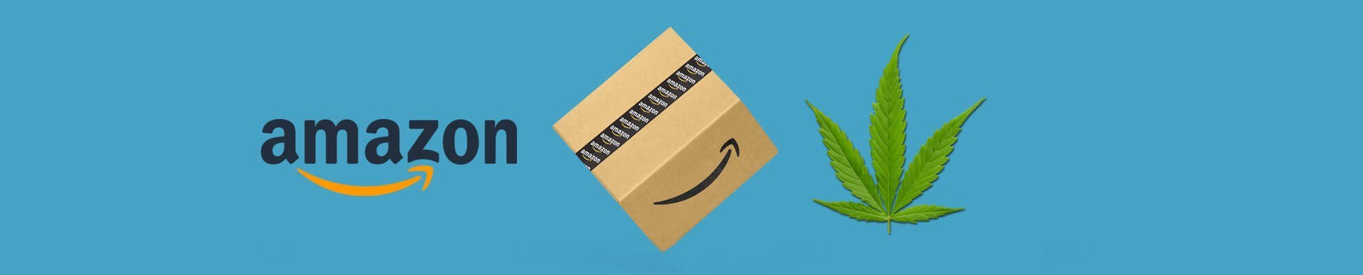 Slika prikazuje logotip podjetja Amazon, škatlo ter konopljin list.