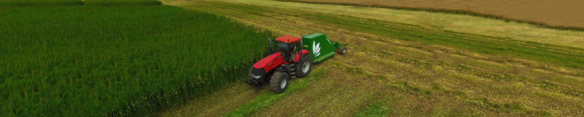 Na sliki lahko vidimo veliki rdeč traktor z novo mehanizacijo za žetev konoplje na bolj hiter in enostaven način.