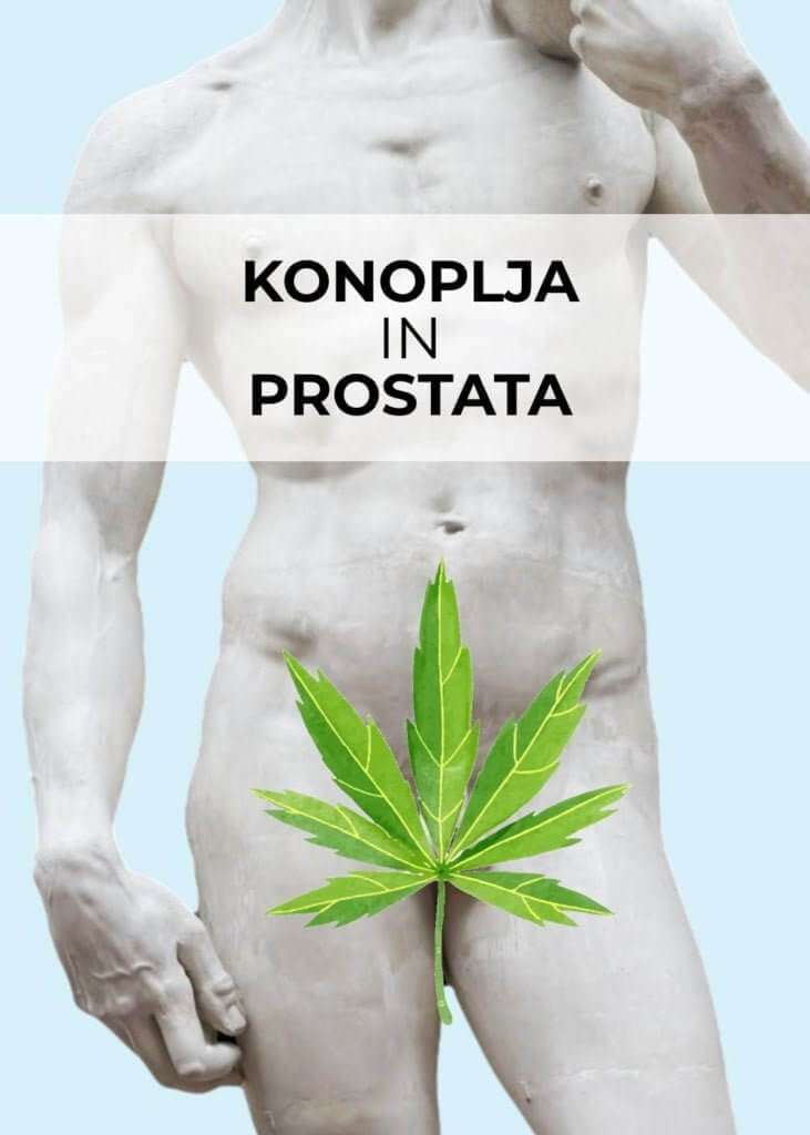 CBG in prostata 13