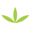 Slika prikazuje logotip podjetja Darilo Narave d.o.o., logotip je narejen iz risbe konopljinega lista v risanem slogu.