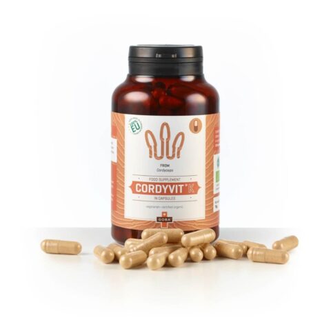 Goba Cordyvit K v plastični embalaži – prehransko dopolnilo iz adaptogenih gob.