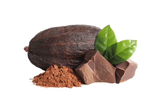 Čisto nerafinirano ekološko kakavovo maslo