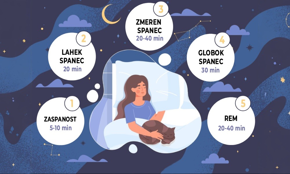 Prikaz povprečnega spalnega stanja dobro spimo, delimo v 5 delov, zaspanost, lahko spanje, zmerni spanec,  globoko spanje in REM spanje.