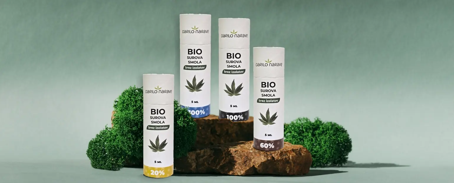 Različne konopljine smole Darila Narave, postavljene na naravni kamniti podstavek, obdan z mehkim zelenim mahom.