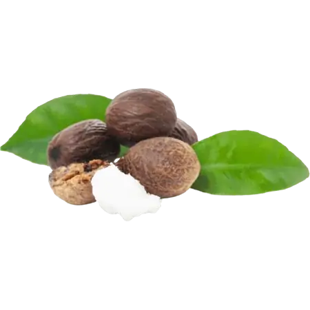 Karite maslo v svoji naravni obliki.